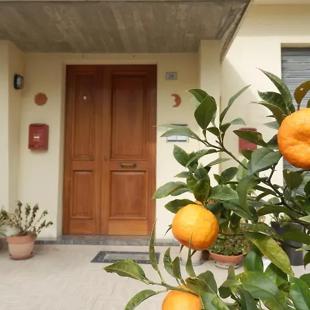 Apartment Attico Del Picchio