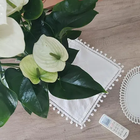 아파트 Mare Attico Oro Rosso 포르토 산텔피디오