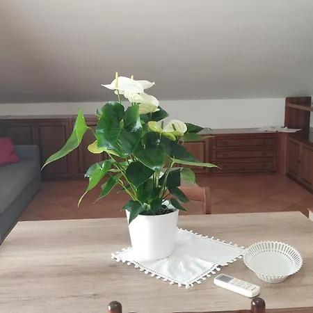 Mare Attico Oro Rosso 아파트